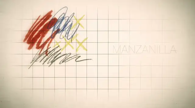 Manzanilla Expo hero background